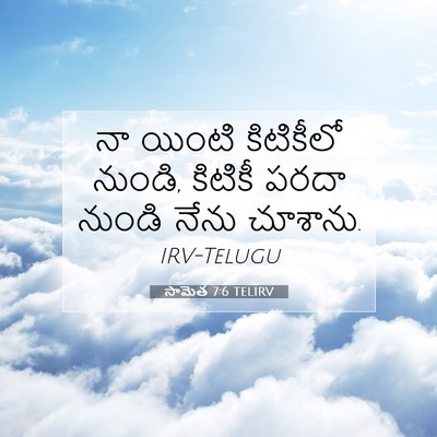 Picture 07 - సామెత 7:6 TELIRV - నా యింటి కిటికీలో - Bible Verse Picture