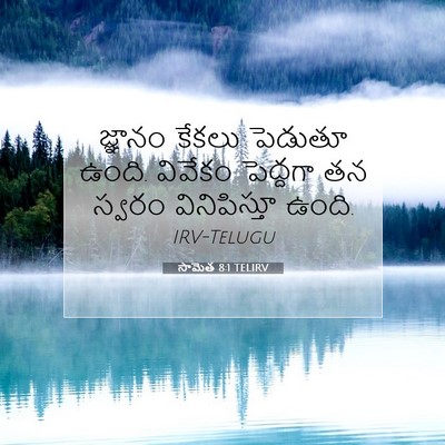 Picture 07 - సామెత 8:1 TELIRV - జ్ఞానం కేకలు - Bible Verse Picture