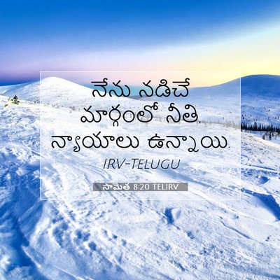 Picture 07 - సామెత 8:20 TELIRV - నేను నడిచే - Bible Verse Picture