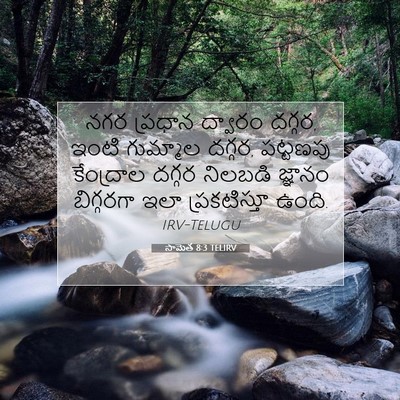 Picture 07 - సామెత 8:3 TELIRV - నగర ప్రధాన ద్వారం - Bible Verse Picture