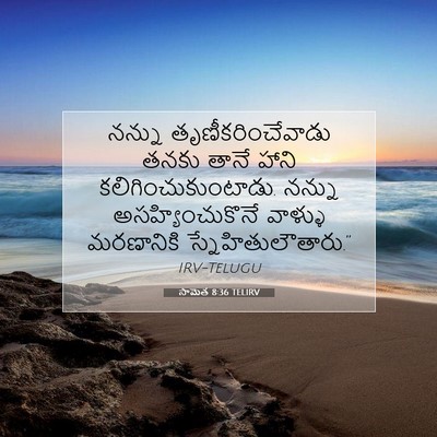 Picture 07 - సామెత 8:36 TELIRV - నన్ను - Bible Verse Picture