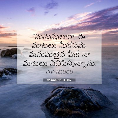 Picture 07 - సామెత 8:4 TELIRV - “మనుషులారా, ఈ - Bible Verse Picture