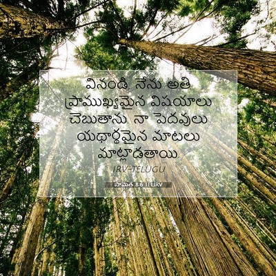 Picture 07 - సామెత 8:6 TELIRV - వినండి, నేను అతి - Bible Verse Picture