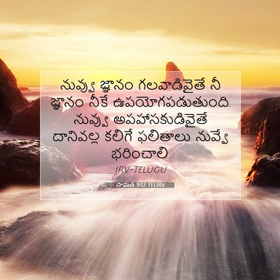 Picture 07 - సామెత 9:12 TELIRV - నువ్వు జ్ఞానం - Bible Verse Picture
