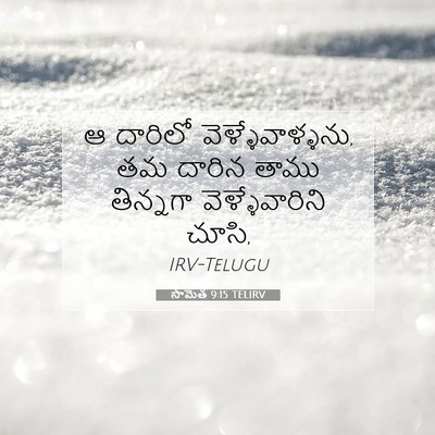 Picture 07 - సామెత 9:15 TELIRV - ఆ దారిలో - Bible Verse Picture