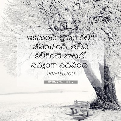 Picture 07 - సామెత 9:6 TELIRV - ఇకనుంచి జ్ఞానం - Bible Verse Picture