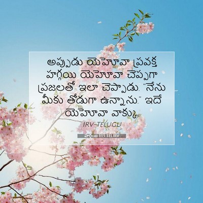 Picture 07 - హగ్గయి 1:13 TELIRV - అప్పుడు యెహోవా - Bible Verse Picture