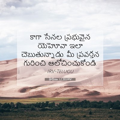 Picture 07 - హగ్గయి 1:7 TELIRV - కాగా సేనల - Bible Verse Picture