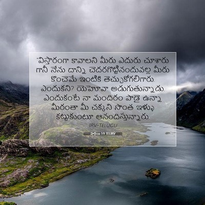 Picture 07 - హగ్గయి 1:9 TELIRV - “విస్తారంగా - Bible Verse Picture