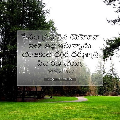 Picture 07 - హగ్గయి 2:11 TELIRV - సేనల ప్రభువైన - Bible Verse Picture