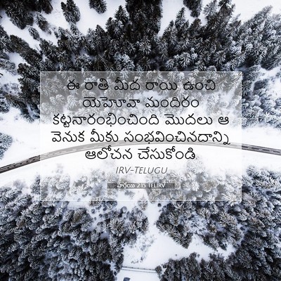 Picture 07 - హగ్గయి 2:15 TELIRV - ఈ రాతి మీద రాయి - Bible Verse Picture