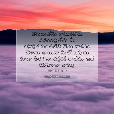 Picture 07 - హగ్గయి 2:17 TELIRV - తెగులుతోను, - Bible Verse Picture