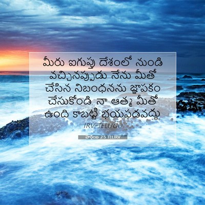 Picture 07 - హగ్గయి 2:5 TELIRV - మీరు ఐగుప్తు - Bible Verse Picture