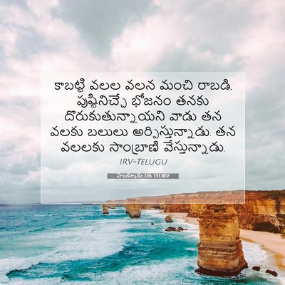 Picture 07 - హబక్కూకు 1:16 TELIRV - కాబట్టి వలల వలన - Bible Verse Picture