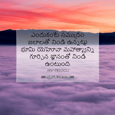 Picture 07 - హబక్కూకు 2:14 TELIRV - ఎందుకంటే సముద్రం - Bible Verse Picture
