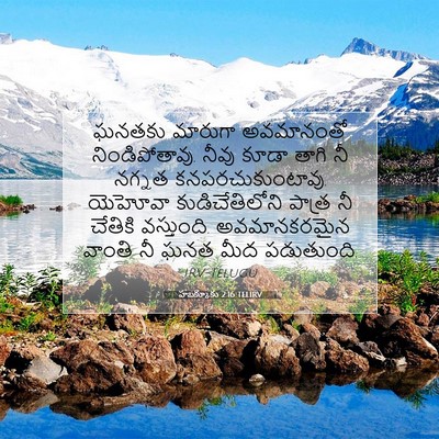 Picture 07 - హబక్కూకు 2:16 TELIRV - ఘనతకు మారుగా - Bible Verse Picture