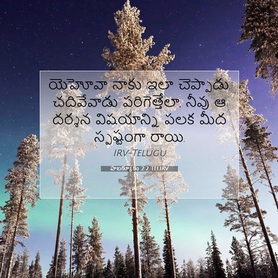 Picture 07 - హబక్కూకు 2:2 TELIRV - యెహోవా నాకు ఇలా - Bible Verse Picture