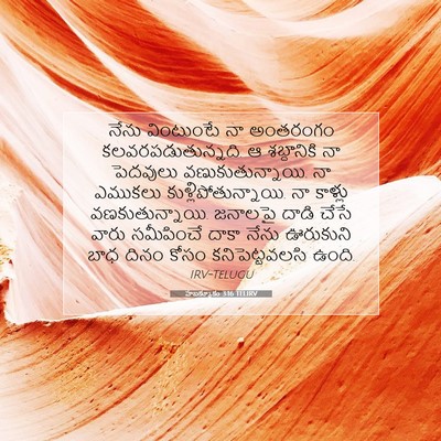 Picture 07 - హబక్కూకు 3:16 TELIRV - నేను వింటుంటే నా - Bible Verse Picture