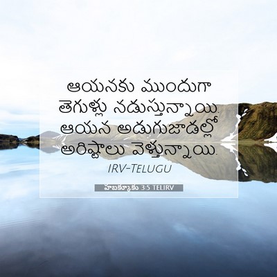 Picture 07 - హబక్కూకు 3:5 TELIRV - ఆయనకు ముందుగా - Bible Verse Picture