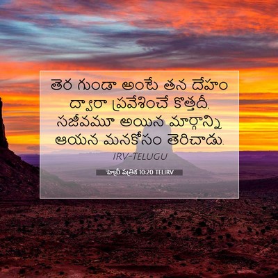 Picture 07 - హెబ్రీ పత్రిక 10:20 TELIRV - తెర గుండా అంటే తన - Bible Verse Picture