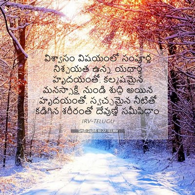 Picture 07 - హెబ్రీ పత్రిక 10:22 TELIRV - విశ్వాసం విషయంలో - Bible Verse Picture