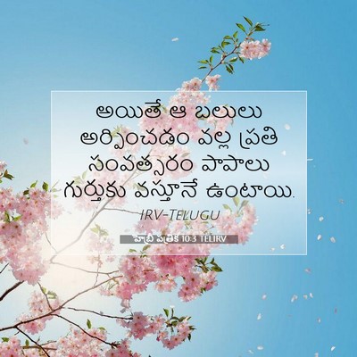 Picture 07 - హెబ్రీ పత్రిక 10:3 TELIRV - అయితే ఆ బలులు - Bible Verse Picture