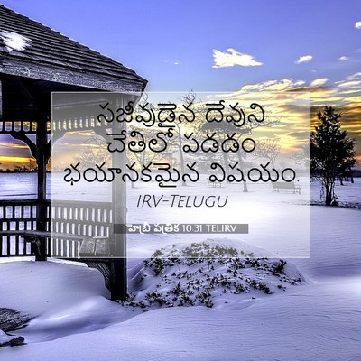Picture 07 - హెబ్రీ పత్రిక 10:31 TELIRV - సజీవుడైన దేవుని - Bible Verse Picture