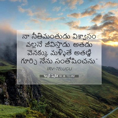 Picture 07 - హెబ్రీ పత్రిక 10:38 TELIRV - నా నీతిమంతుడు - Bible Verse Picture