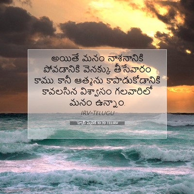 Picture 07 - హెబ్రీ పత్రిక 10:39 TELIRV - అయితే మనం - Bible Verse Picture
