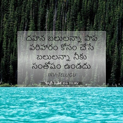Picture 07 - హెబ్రీ పత్రిక 10:6 TELIRV - దహన బలులన్నా పాప - Bible Verse Picture