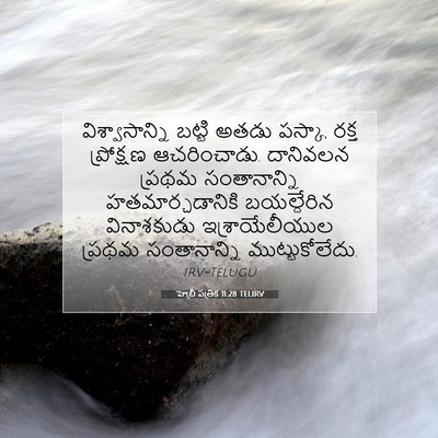 Picture 07 - హెబ్రీ పత్రిక 11:28 TELIRV - విశ్వాసాన్ని - Bible Verse Picture