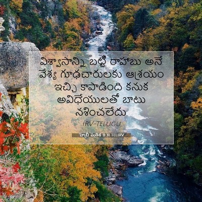 Picture 07 - హెబ్రీ పత్రిక 11:31 TELIRV - విశ్వాసాన్ని - Bible Verse Picture