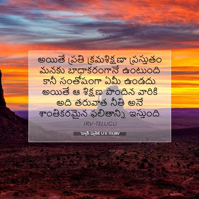 Picture 07 - హెబ్రీ పత్రిక 12:11 TELIRV - అయితే ప్రతి - Bible Verse Picture