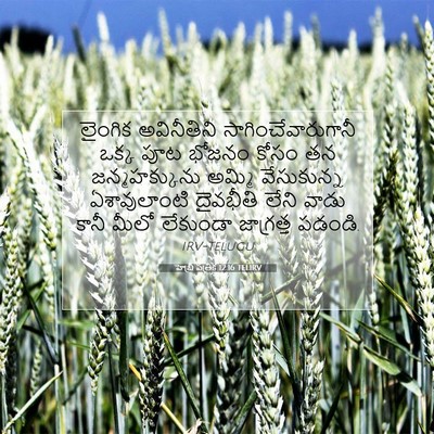 Picture 07 - హెబ్రీ పత్రిక 12:16 TELIRV - లైంగిక అవినీతిని - Bible Verse Picture