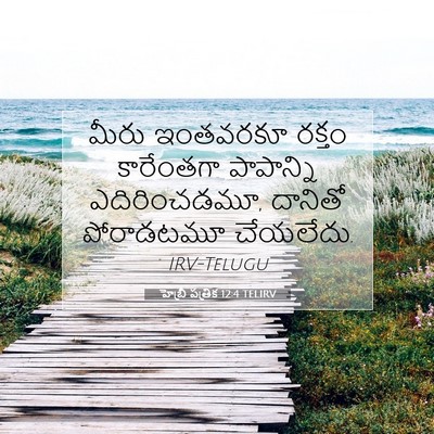 Picture 07 - హెబ్రీ పత్రిక 12:4 TELIRV - మీరు ఇంతవరకూ - Bible Verse Picture