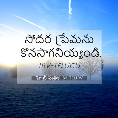 Picture 07 - హెబ్రీ పత్రిక 13:1 TELIRV - సోదర ప్రేమను - Bible Verse Picture