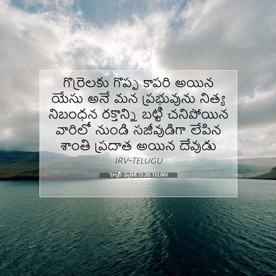 Picture 07 - హెబ్రీ పత్రిక 13:20 TELIRV - గొర్రెలకు గొప్ప - Bible Verse Picture