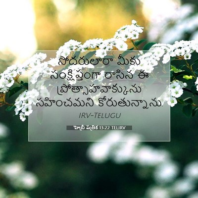 Picture 07 - హెబ్రీ పత్రిక 13:22 TELIRV - సోదరులారా మీకు - Bible Verse Picture