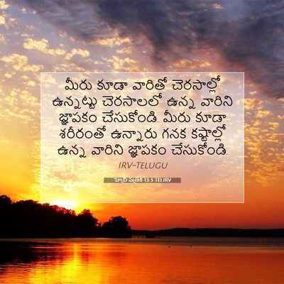 Picture 07 - హెబ్రీ పత్రిక 13:3 TELIRV - మీరు కూడా వారితో - Bible Verse Picture