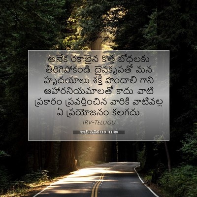 Picture 07 - హెబ్రీ పత్రిక 13:9 TELIRV - అనేక రకాలైన కొత్త - Bible Verse Picture