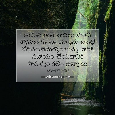 Picture 07 - హెబ్రీ పత్రిక 2:18 TELIRV - ఆయన తానే బాధలు - Bible Verse Picture