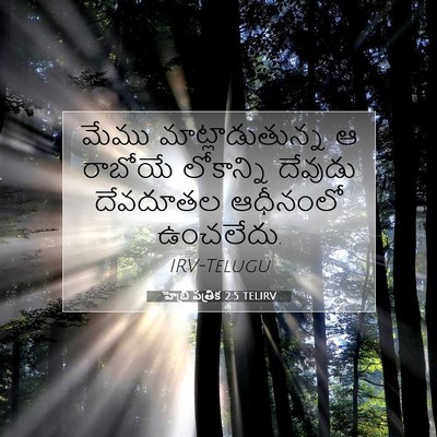 Picture 07 - హెబ్రీ పత్రిక 2:5 TELIRV - మేము - Bible Verse Picture