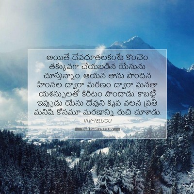 Picture 07 - హెబ్రీ పత్రిక 2:9 TELIRV - అయితే దేవదూతలకంటే - Bible Verse Picture