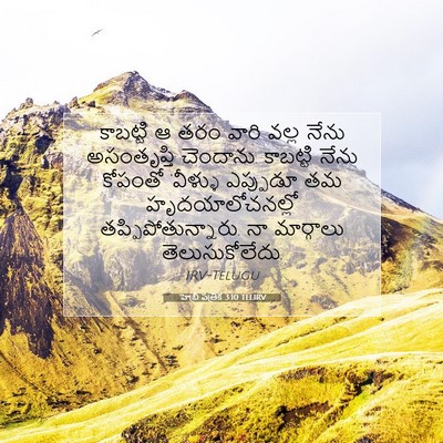 Picture 07 - హెబ్రీ పత్రిక 3:10 TELIRV - కాబట్టి ఆ తరం వారి - Bible Verse Picture