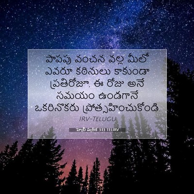 Picture 07 - హెబ్రీ పత్రిక 3:13 TELIRV - పాపపు వంచన వల్ల - Bible Verse Picture