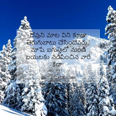Picture 07 - హెబ్రీ పత్రిక 3:16 TELIRV - దేవుని మాట విని - Bible Verse Picture