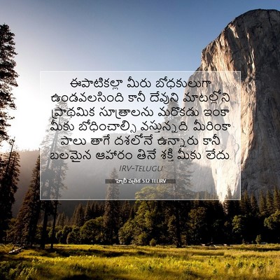 Picture 07 - హెబ్రీ పత్రిక 5:12 TELIRV - ఈపాటికల్లా మీరు - Bible Verse Picture