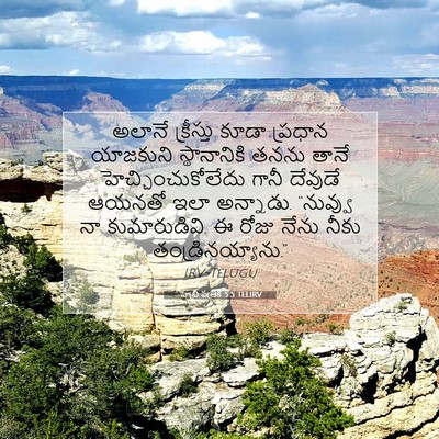 Picture 07 - హెబ్రీ పత్రిక 5:5 TELIRV - అలానే క్రీస్తు - Bible Verse Picture