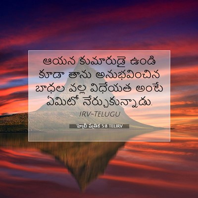 Picture 07 - హెబ్రీ పత్రిక 5:8 TELIRV - ఆయన కుమారుడై ఉండి - Bible Verse Picture