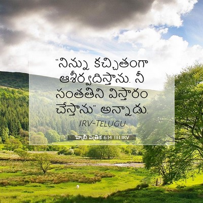 Picture 07 - హెబ్రీ పత్రిక 6:14 TELIRV - “నిన్ను కచ్చితంగా - Bible Verse Picture